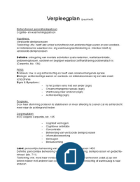 Case study voorbeeld verpleegkunde 03 image