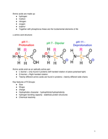 Biochemistry notes pdf