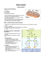 Summary Chapter 23 Ocr Bio Respiration Revision Notes