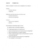 Voorbeeld schrijfplan essay 03 image